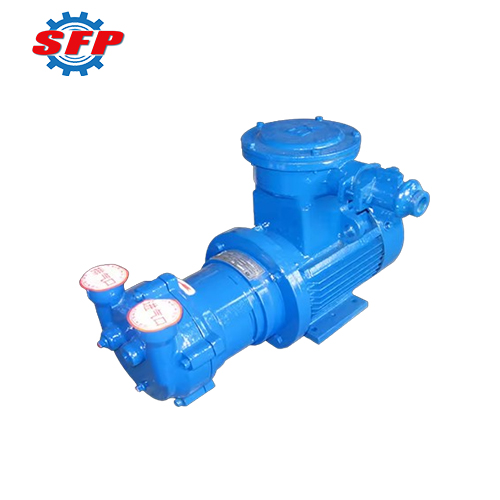 Professional Vacuum Pump Supplier